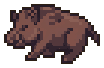 Boar