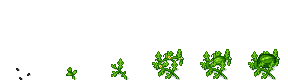 Ancient Melon growth stages