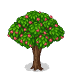 Peach tree